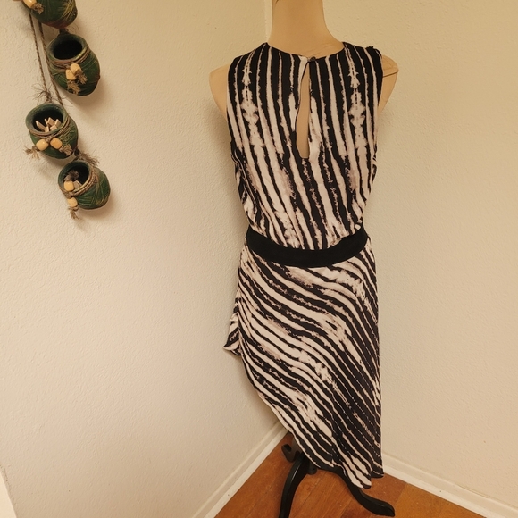 Haute Hippie Silk Dress Medium Sleeveless Animal Print Studded Asymmetrical - Picture 6 of 7